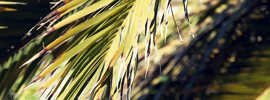 【手机版】移动的DDOS在线压力测试