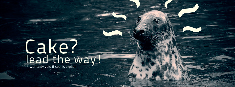 服务器攻击软件