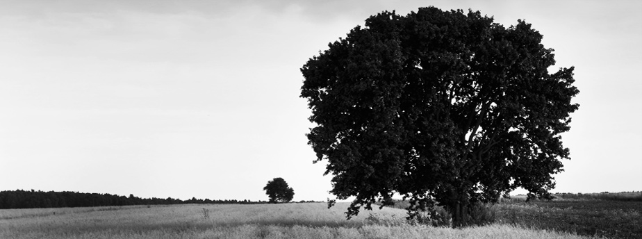 ip攻击器网页版ddos